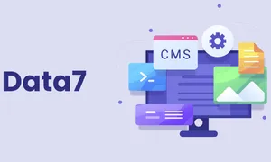 Data7: The headless CMS crafted for all projects